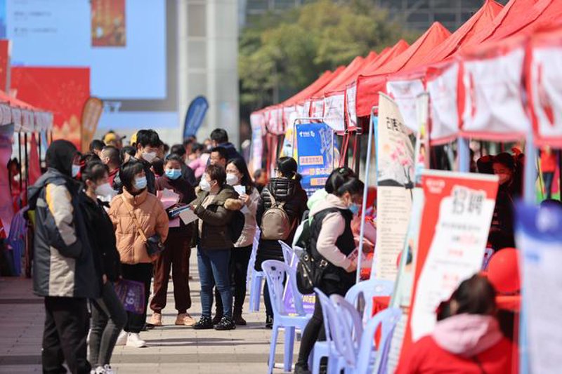 福建招聘市场动态:机遇与挑战并存